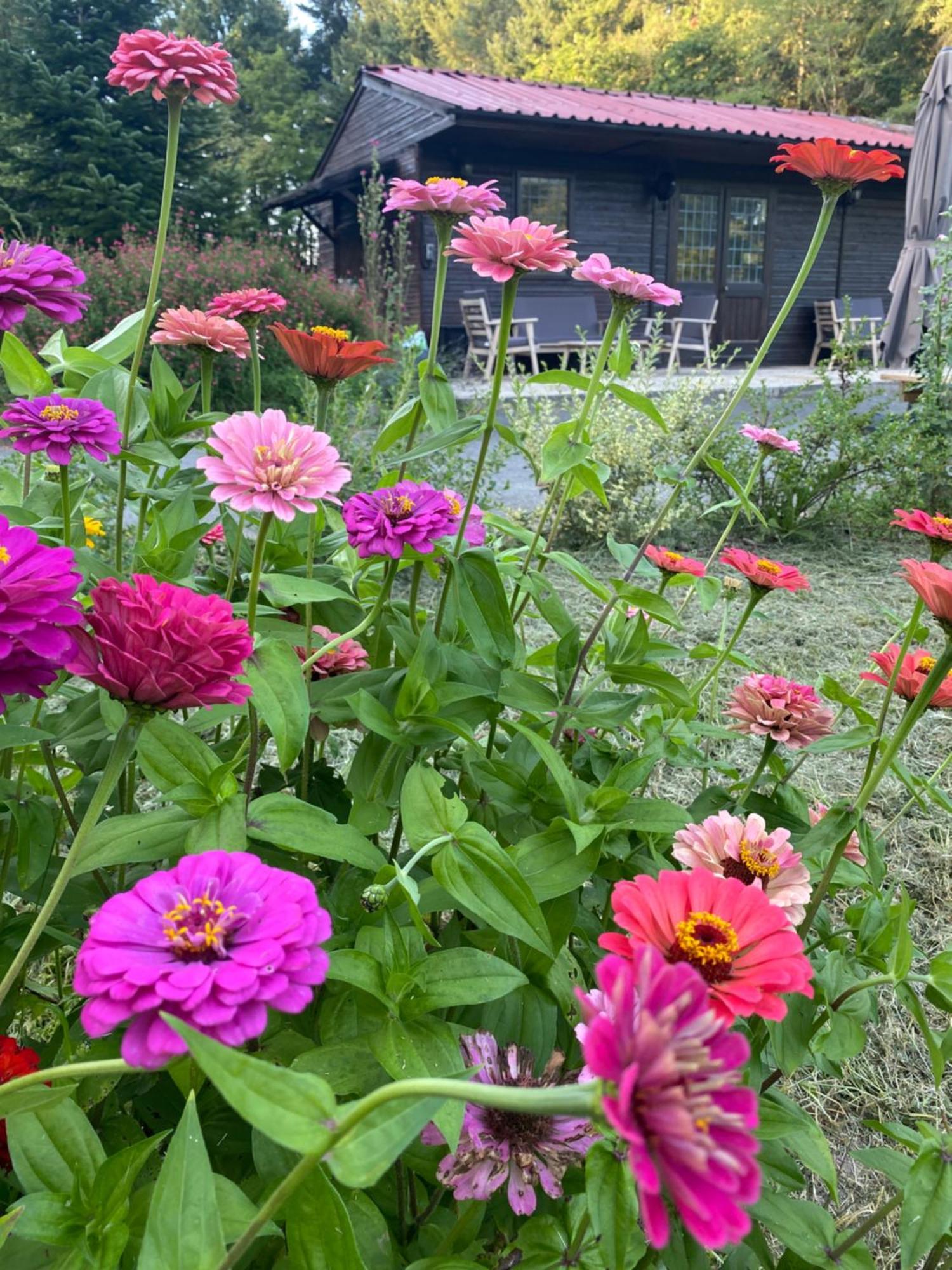 Maison Dans Parc Prive, Sports Et Loisirs Proche Golf Du Coudray Montceaux 르꾸드레몽소 외부 사진
