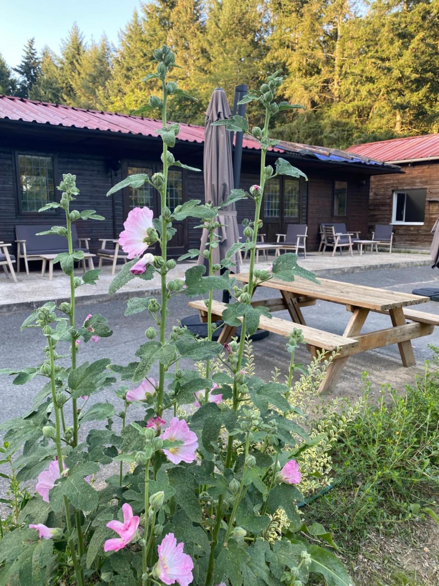 Maison Dans Parc Prive, Sports Et Loisirs Proche Golf Du Coudray Montceaux 르꾸드레몽소 외부 사진