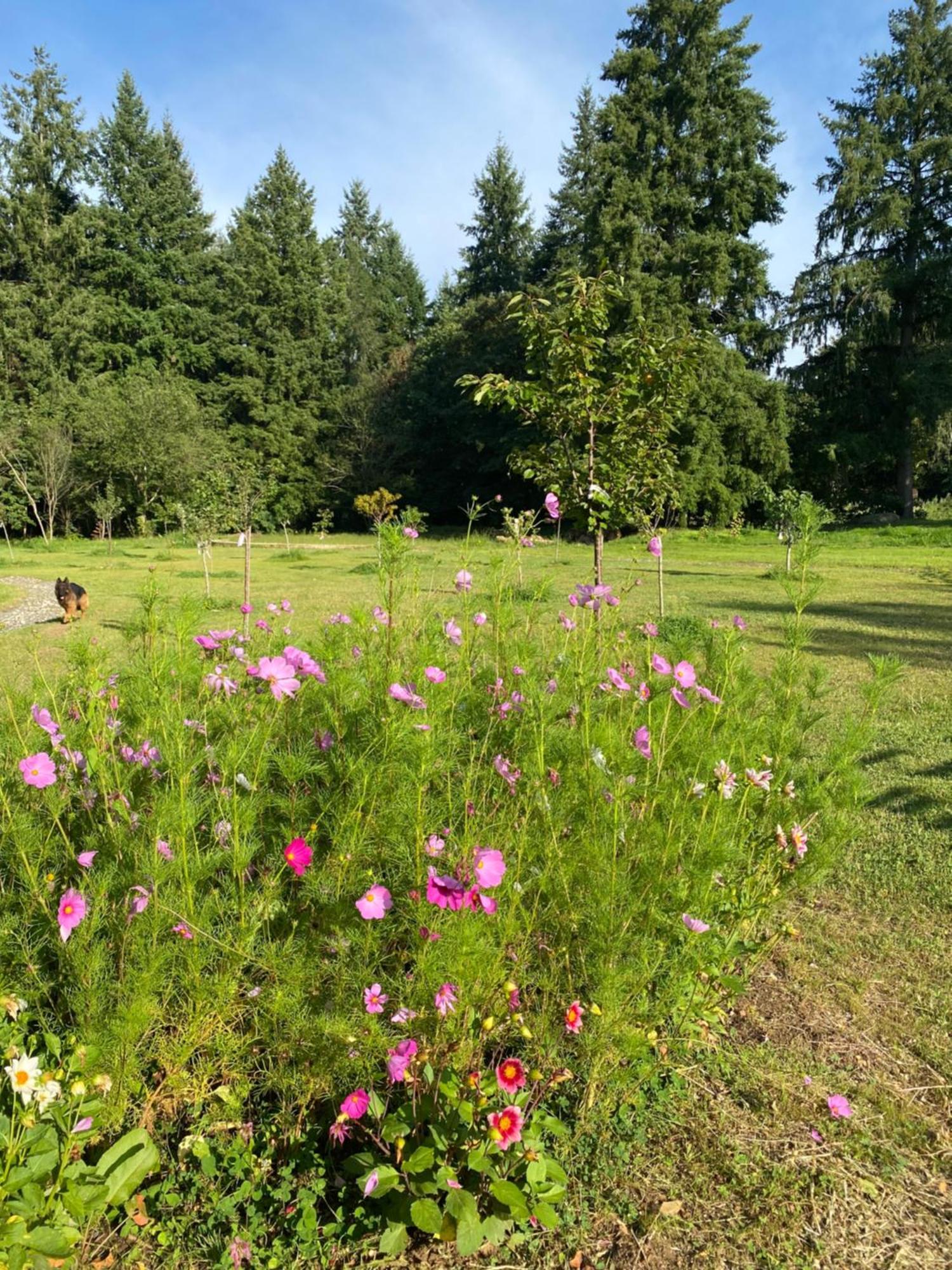 Maison Dans Parc Prive, Sports Et Loisirs Proche Golf Du Coudray Montceaux 르꾸드레몽소 외부 사진